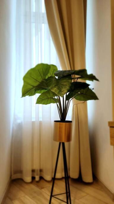 Golden Apartment Bosacka Krakow Old Town 2 Rooms ภายนอก รูปภาพ